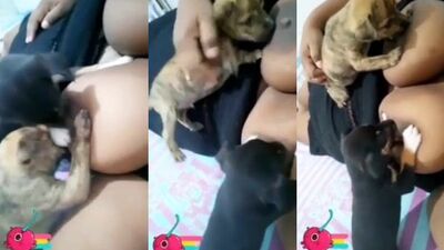 Mature Grannys Pup Playtime - Deepthroat & Creampie