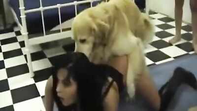 Paw-some Babe Licks & Sucks, Moniques Hot Doggy Fun