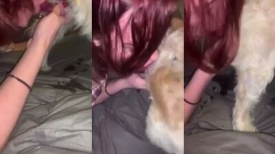 Puppy Lovers Dream: Tight Doggy Bitch Takes Massive Cock Down Her