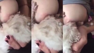 Doggy Delights: Tight Holes Ablaze