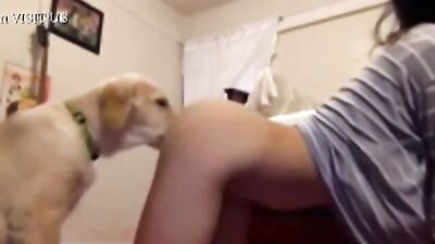 Hot Amateur Girl & Hung Chia Gets Face Fucked