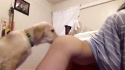 Hot Amateur Girl & Hung Chia Gets Face Fucked