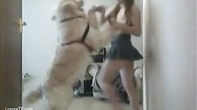 Young girl sexy ass fucked by her labrador