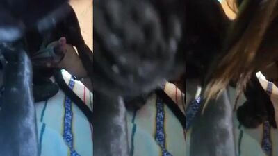 Sweet Sucking Surrender