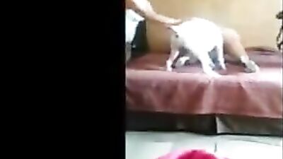 Dog licking First time