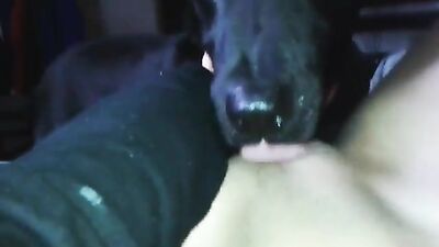 A tongue in my pussy -