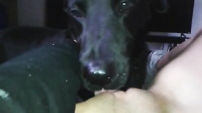 A tongue in my pussy -