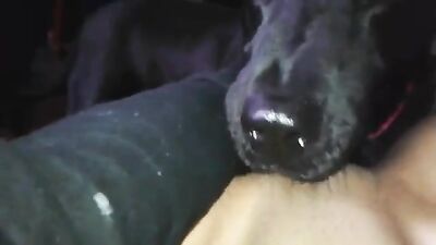 A tongue in my pussy -