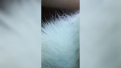 Puppys Tongue Teases Teens Pink Pussy