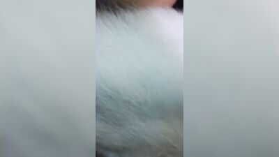 Puppys Tongue Teases Teens Pink Pussy