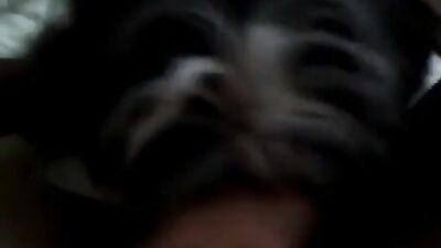 licks little dog