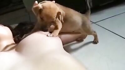 Leche para los cachorros