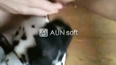 licked by the dog
