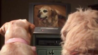 Porndogs The Adventures Of Sadie Film