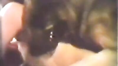 24 Horas de Sexo Explícito Dog Scene