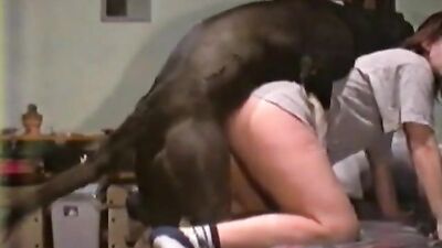 Sexy slut fuck dog