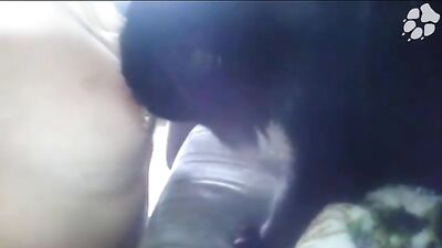 Her Pet Licking Hot Tits