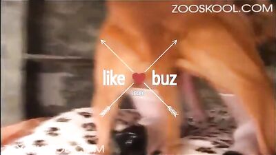 Farmstead Seduction: Busty Babe Goes Down on Hung Hound