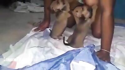 Twins sucking breasts