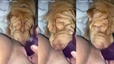 Lick hot