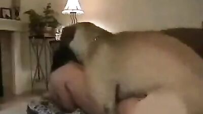 dog fuckk