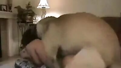 dog fuckk