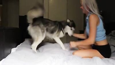 warming up the dog