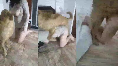 japanse dog fuck