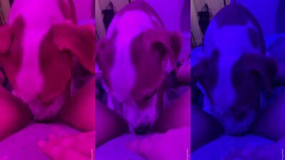 Petting Pussies To Perverse Pop Tunes