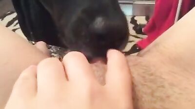 Doggies Dirty Deeds in Bed: Licking & Loving Pussy
