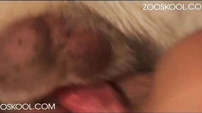 Latvia Lovers Cum-Filled Doggy Date