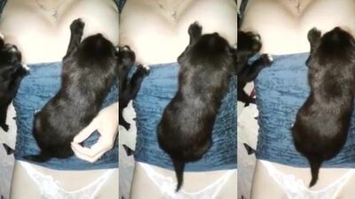 Puppys First Taste of Breast Milk