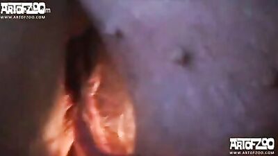 Another video of sex with pig