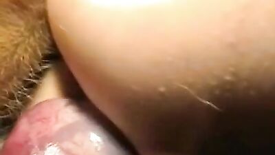 Estrés sexual