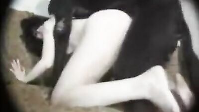 More video of sex with dog