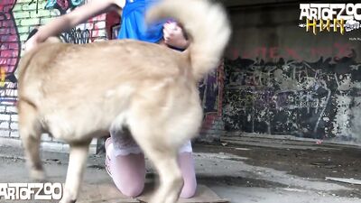 Cucumber and dog