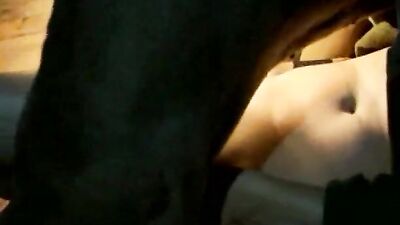 Regular sex with sex