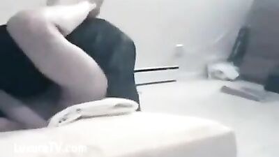 Missionary sex with dog