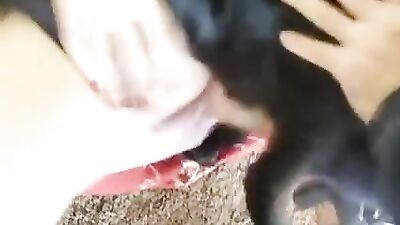 Liking & Doggy style