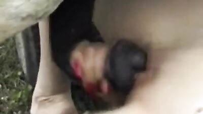 Mara 13 Swallows Mammoth Canine Cock in Lewd Bestial Blowbang