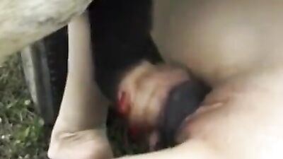 Mara 13 Swallows Mammoth Canine Cock in Lewd Bestial Blowbang