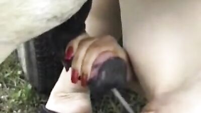 Mara 13 Swallows Mammoth Canine Cock in Lewd Bestial Blowbang