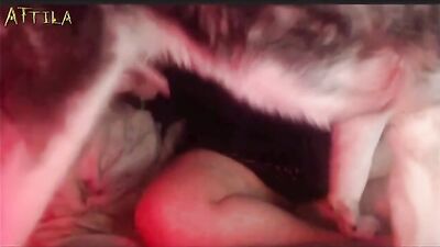 Kik dog sex