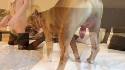 Sonyas Sinful Slobbery Squirt Session With Furry Friend