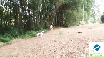 Alison 2 dogs new