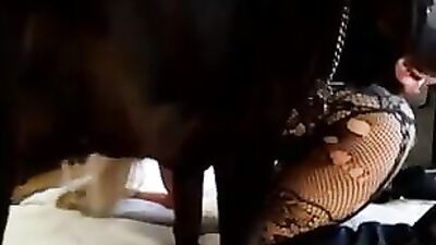Lusty Aashis Wild Animal Lust Session