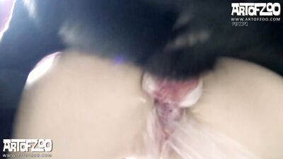 Dirty Dutch K9 Slut Takes Down Dogs Thick Cock
