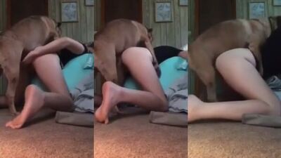Puppy Penetration Pleasure