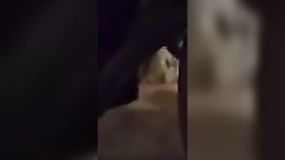 Dirty Argentine Thug Fucks K9 Deep in Filthy Gorda Blowjob
