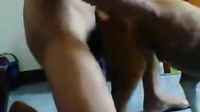 Petty Panty Playtime Pleases Puppy